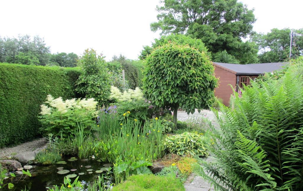 The Garden Lodge Llynclys Exteriör bild
